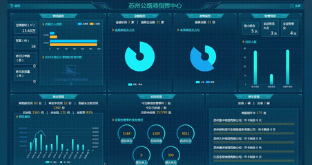 智能信息服務與安全系統(tǒng)監(jiān)控 構建數(shù)字化時代的雙重守護屏障